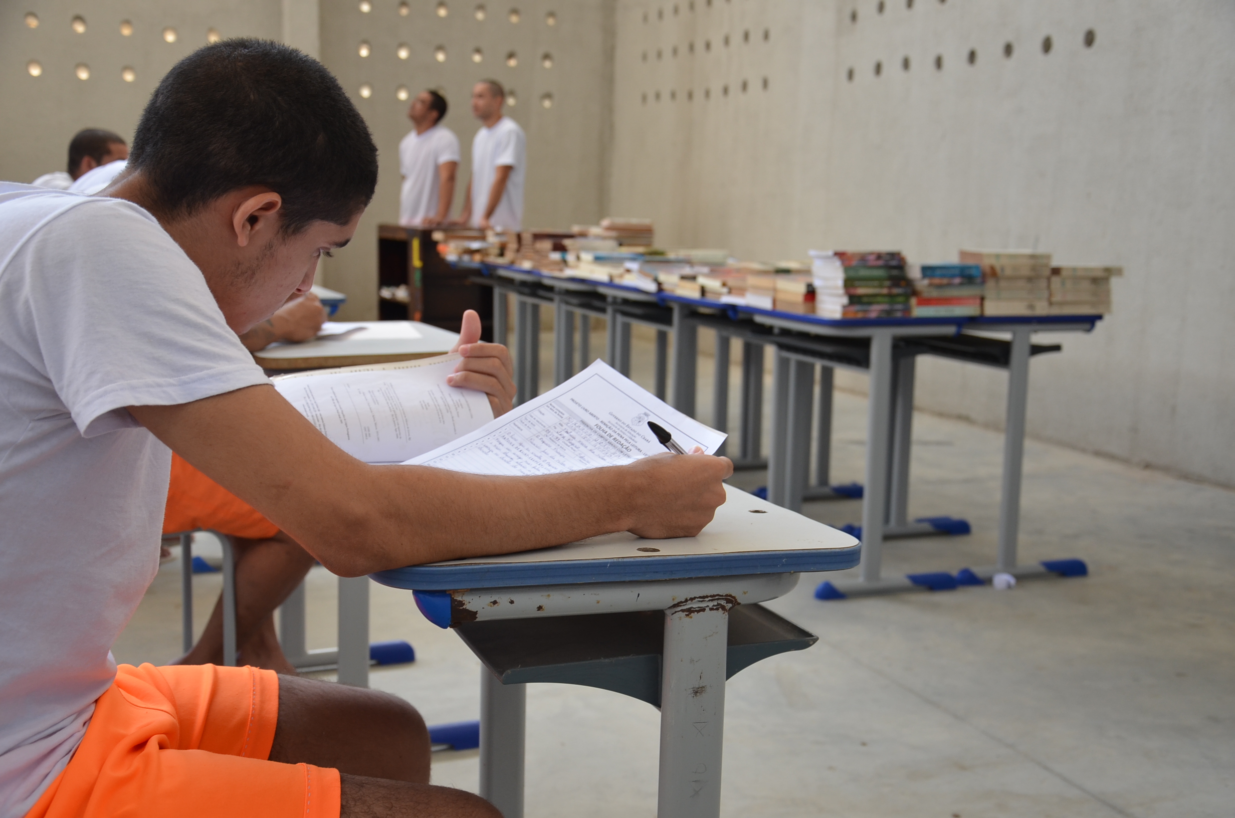 REMIÇÃO DE PENA PELA LEITURA