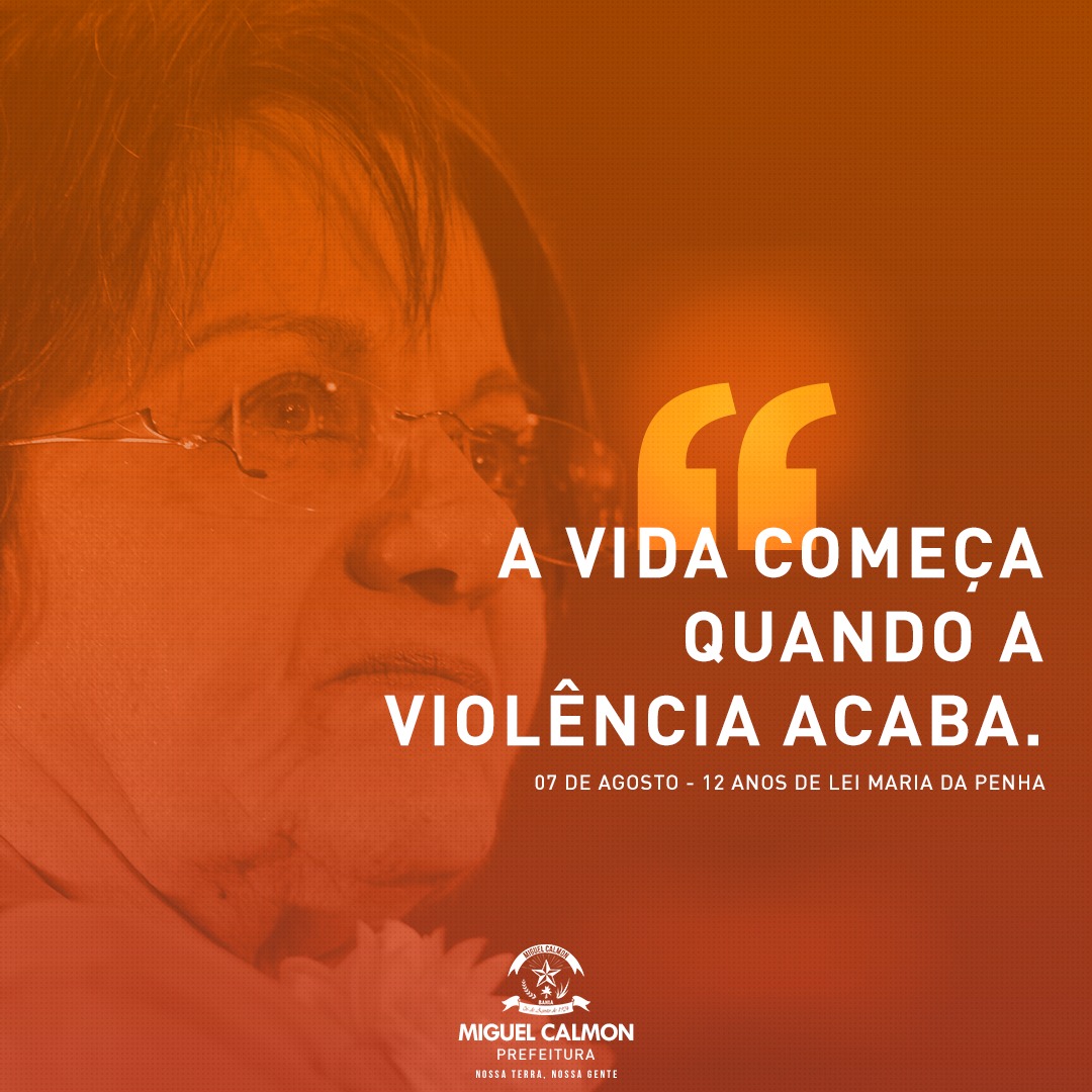 12 ANOS DE PROMULGAÇÃO DA LEI MARIA DA PENHA: PERFIL SOCIOECONÔMICO DAS VÍTIMAS E AGRESSORES